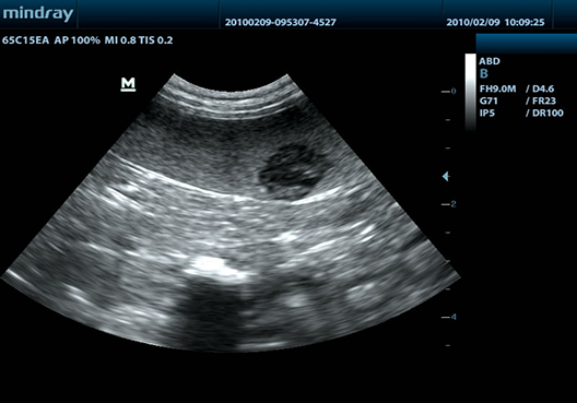 MINDRAY DP-50Vet